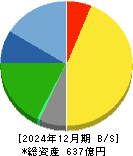 ソフト９９コーポレーション 貸借対照表 2024年12月期