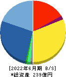 サイバネットシステム 貸借対照表 2022年6月期