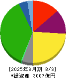 飯野海運 貸借対照表 2025年6月期