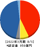 岡藤日産証券ホールディングス 貸借対照表 2022年3月期 岡藤日産証券ホールディングス 貸借対照表 2022年3月期