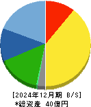 クオルテック 貸借対照表 2024年12月期