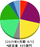 ポラリス・ホールディングス 貸借対照表 2025年6月期
