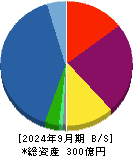 フェイスネットワーク 貸借対照表 2024年9月期