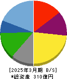 ウチヤマホールディングス 貸借対照表 2025年3月期 ウチヤマホールディングス 貸借対照表 2025年3月期