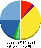 ヴィスコ・テクノロジーズ 貸借対照表 2022年3月期