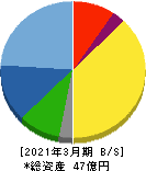NFKホールディングス 貸借対照表 2021年3月期 NFKホールディングス 貸借対照表 2021年3月期