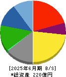 構造計画研究所ホールディングス 貸借対照表 2025年6月期 構造計画研究所ホールディングス 貸借対照表 2025年6月期