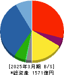 飛島ホールディングス 貸借対照表 2025年3月期 飛島ホールディングス 貸借対照表 2025年3月期
