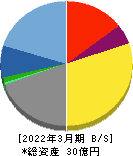 INCLUSIVE 貸借対照表 2022年3月期 INCLUSIVE 貸借対照表 2022年3月期