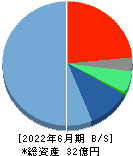 アイキューブドシステムズ 貸借対照表 2022年6月期 アイキューブドシステムズ 貸借対照表 2022年6月期