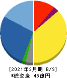 エムティジェネックス 貸借対照表 2021年3月期 エムティジェネックス 貸借対照表 2021年3月期