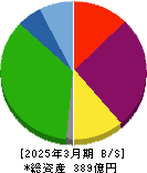 サンウェルズ 貸借対照表 2025年3月期