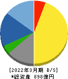 大平洋金属 貸借対照表 2022年3月期 大平洋金属 貸借対照表 2022年3月期