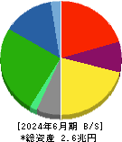 王子ホールディングス 貸借対照表 2024年6月期