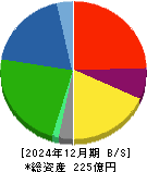 南海化学 貸借対照表 2024年12月期