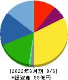 ニックス 貸借対照表 2022年6月期