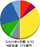 テイカ 貸借対照表 2023年6月期