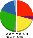 神島化学工業 貸借対照表 2025年1月期