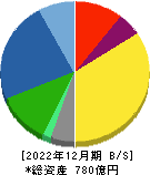 テイカ 貸借対照表 2022年12月期