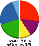 ビジネス・ワンホールディングス 貸借対照表 2024年12月期