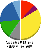 テイカ 貸借対照表 2025年9月期