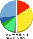 サイバートラスト 貸借対照表 2022年6月期