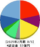 トリプルアイズ 貸借対照表 2025年2月期