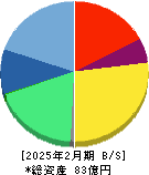ペイクラウドホールディングス 貸借対照表 2025年2月期