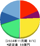 ペイクラウドホールディングス 貸借対照表 2024年11月期