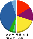 グリーンエナジー＆カンパニー 貸借対照表 2024年7月期