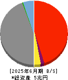 トモニホールディングス 貸借対照表 2025年6月期