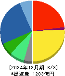 三井松島ホールディングス 貸借対照表 2024年12月期
