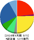 三井松島ホールディングス 貸借対照表 2024年9月期