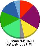 レゾナック・ホールディングス 貸借対照表 2022年6月期