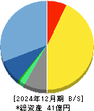 ディジタルメディアプロフェッショナル 貸借対照表 2024年12月期