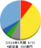 福井コンピュータホールディングス 貸借対照表 2024年6月期
