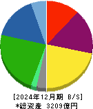 ベルーナ 貸借対照表 2024年12月期