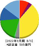 ステラケミファ 貸借対照表 2022年9月期