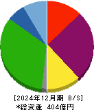 サンウェルズ 貸借対照表 2024年12月期