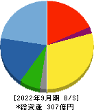 テクノスマート 貸借対照表 2022年9月期