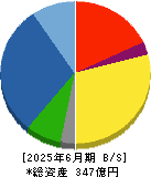 テクノスマート 貸借対照表 2025年6月期