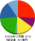 アドバネクス 貸借対照表 2024年12月期
