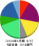 ツバキ・ナカシマ 貸借対照表 2024年6月期