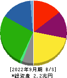 王子ホールディングス 貸借対照表 2022年9月期