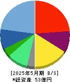 トリプルアイズ 貸借対照表 2025年5月期