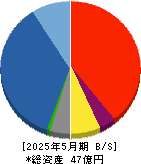 バリュークリエーション 貸借対照表 2025年5月期
