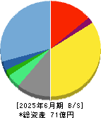 データ・アプリケーション 貸借対照表 2025年6月期
