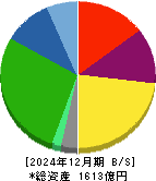 TREホールディングス 貸借対照表 2024年12月期 TREホールディングス 貸借対照表 2024年12月期