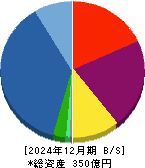 フェイスネットワーク 貸借対照表 2024年12月期