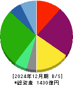 テスホールディングス 貸借対照表 2024年12月期